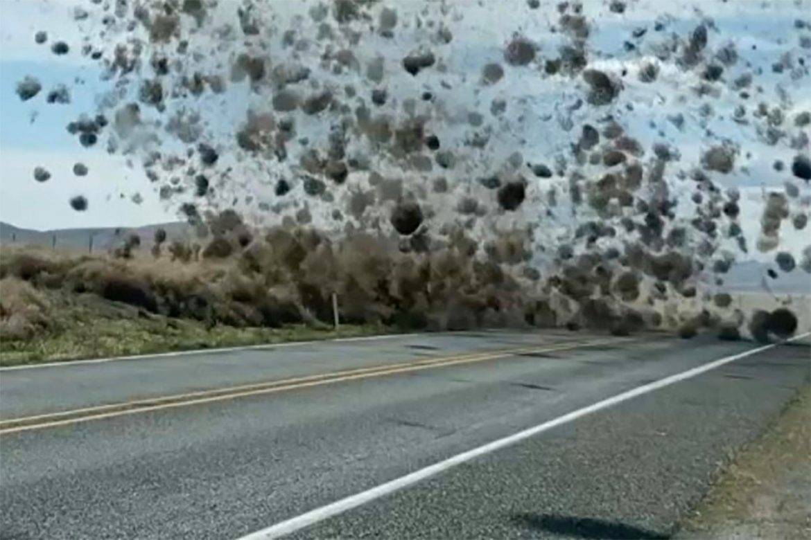 Spettacolare tornado Di Rotolacampi Investe E Ingoia Un auto Ecco Le spettacolare-tornado-di-rotolacampi-investe-e-ingoia-un-auto-ecco-le