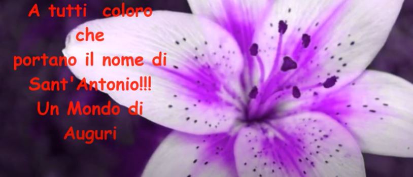 auguri buon onomastico antonio immagini video frasi