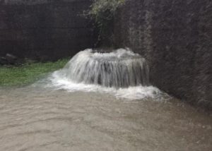 Barga