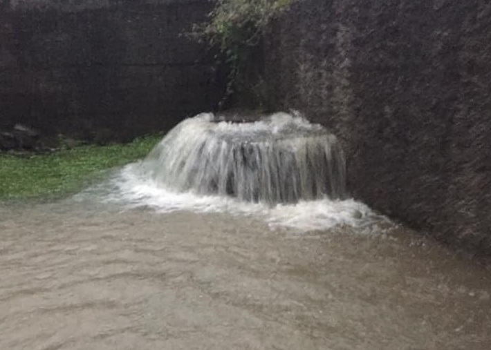 Barga