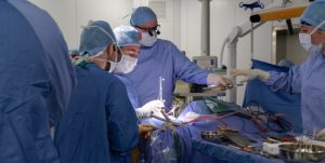 mater olbia hospital
