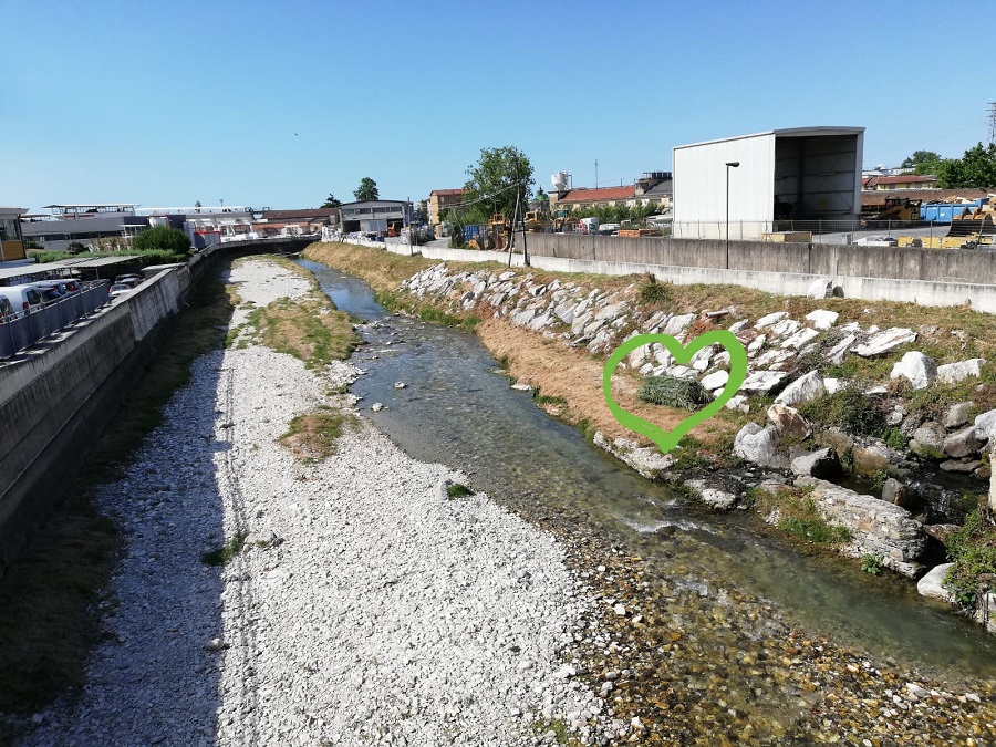 nidi versilia