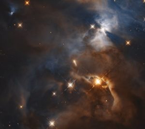 ombra di pipistrello