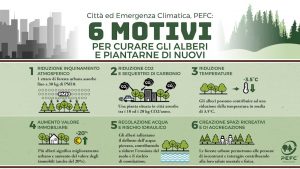pefc alberi