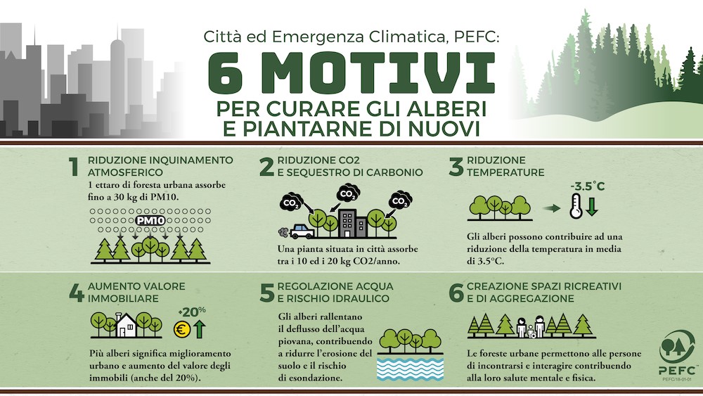 pefc alberi