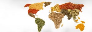 sistema alimentare cibo