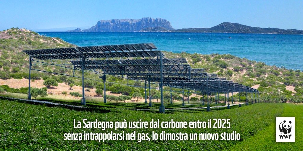 wwf sardegna