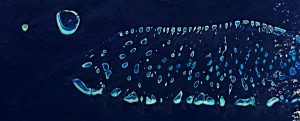 Atollo Ari, Maldive