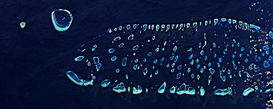 Atollo Ari, Maldive
