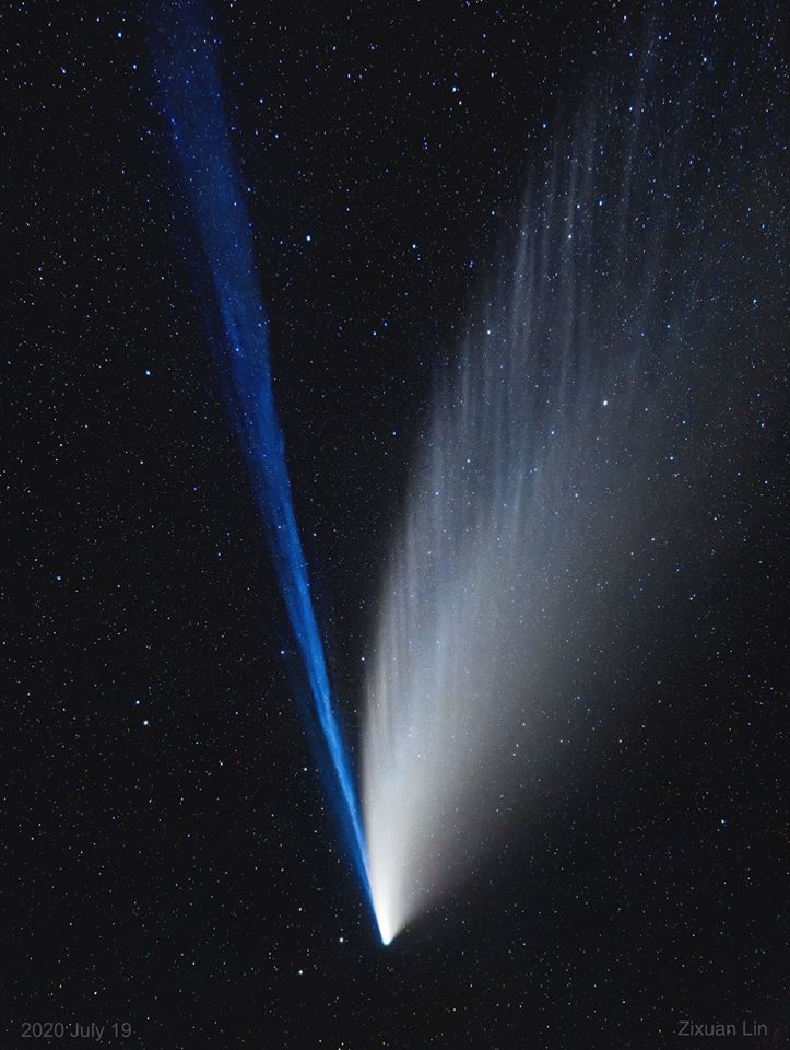 cometa neowise