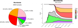 coronavirus unibo
