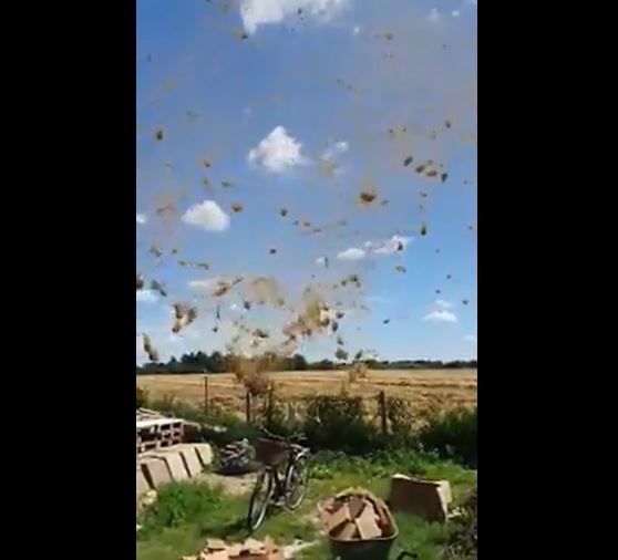 dust devil fieno
