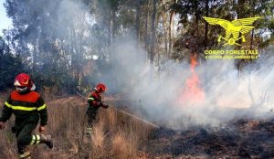 incendi sardegna