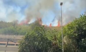 incendio roma monte ciocci