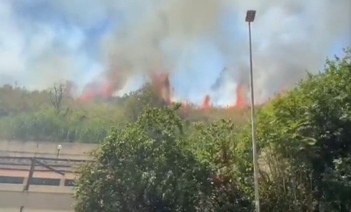 incendio roma monte ciocci