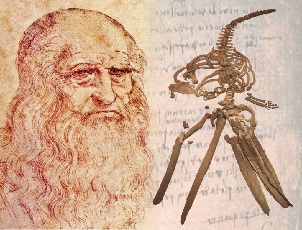 leonardo da vinci