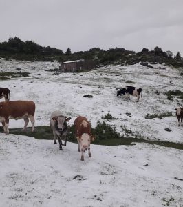 maltempo grandine lombardia