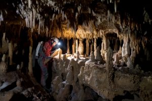 neanderthal unibo