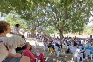 africo parco aspromonte