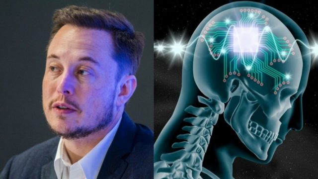 chip cervello computer elon musk