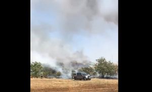 incendio roma parco acquedotti