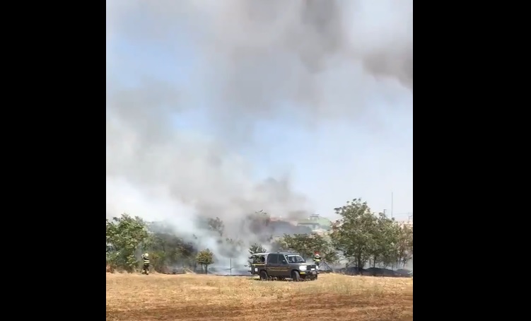 incendio roma parco acquedotti