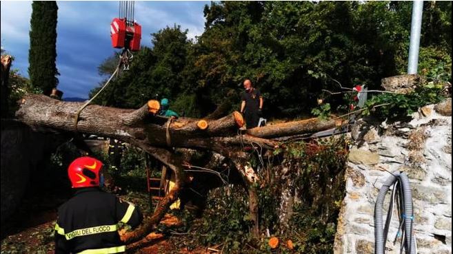 maltempo albero abbattuto toscana