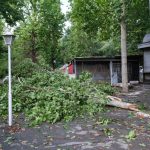 Maltempo Emilia Romagna, danni per pioggia e vento nel Modenese: alberi caduti, tegole volate e allagamenti [FOTO]
