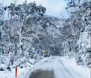 neve australia