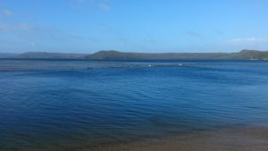balene tasmania australia
