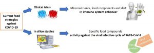 coronavirus alimentazione