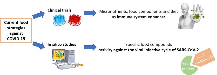 coronavirus alimentazione