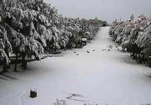 monte amiata