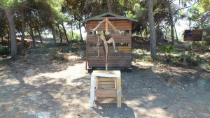 mostra arte marevivo