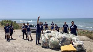 plastic free