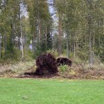 Violenta tempesta investe la Finlandia: “Aila” lascia 80mila famiglie senza elettricità [FOTO]