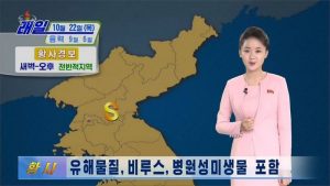 corea del nord polvere gialla