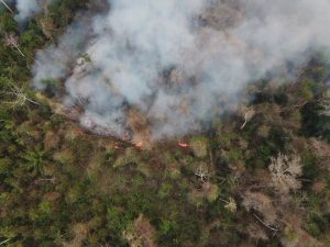 incendi bolivia