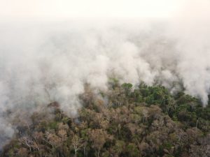 incendi bolivia