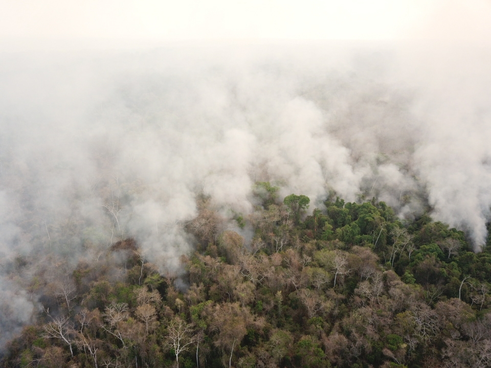 incendi bolivia