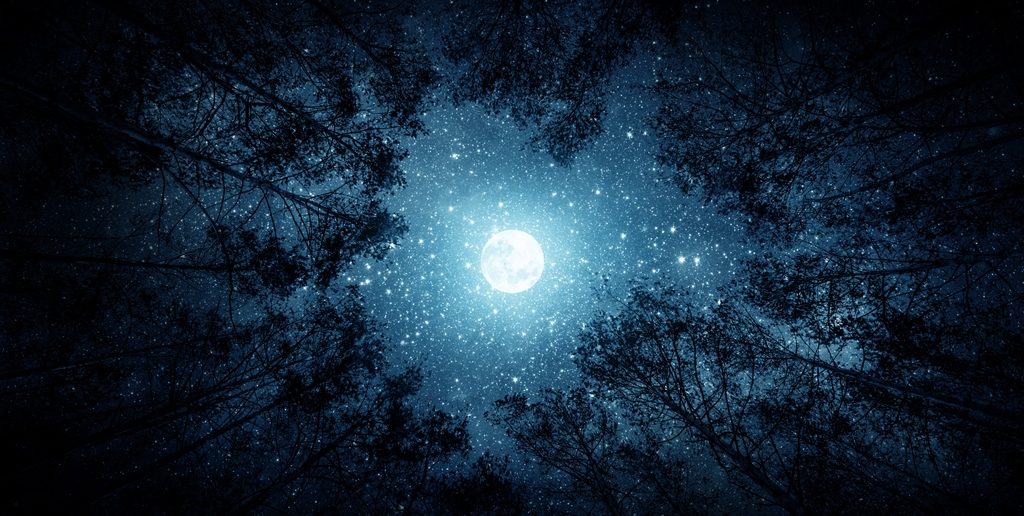 luna alberi