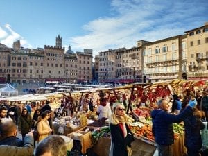 mercato del campo siena