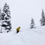 Maltempo, tantissima neve al Passo Rolle: paesaggio da fiaba sulle Dolomiti, le auto scompaiono nel bianco [FOTO]