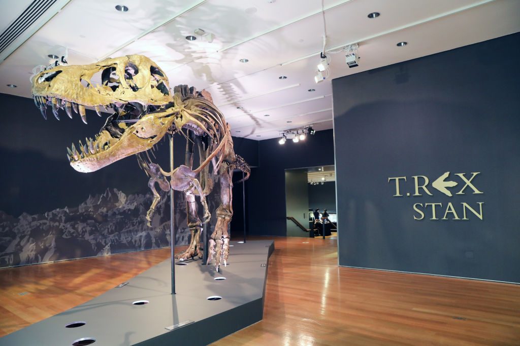 stan t rex