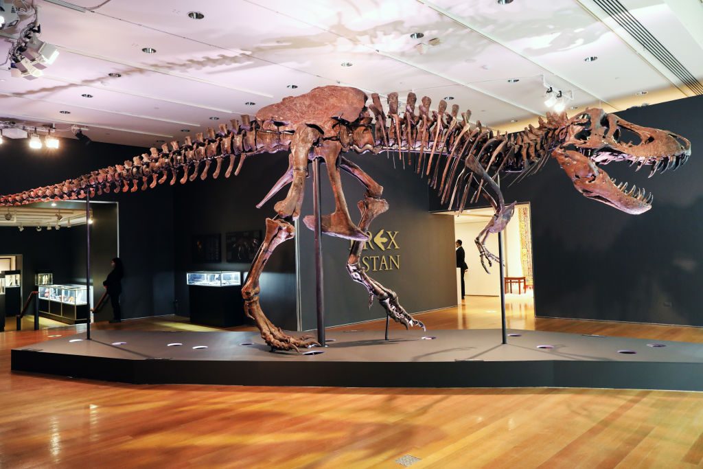 stan t rex