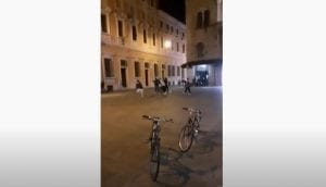 video sparatoria reggio emilia