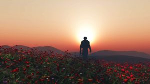 Remembrance Day