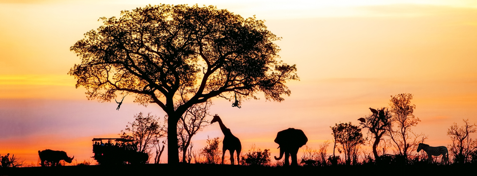 africa safari