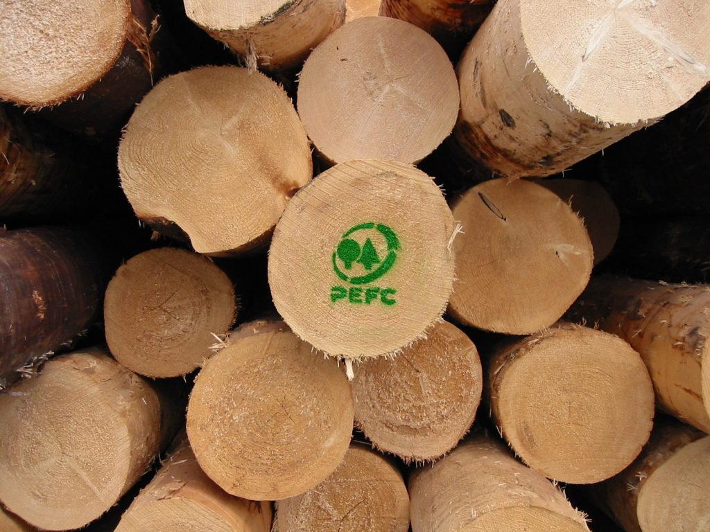 alberi pefc certificazione forestale