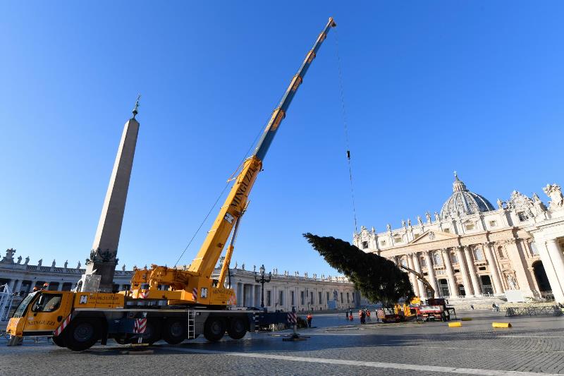 albero natale piazza san pietro